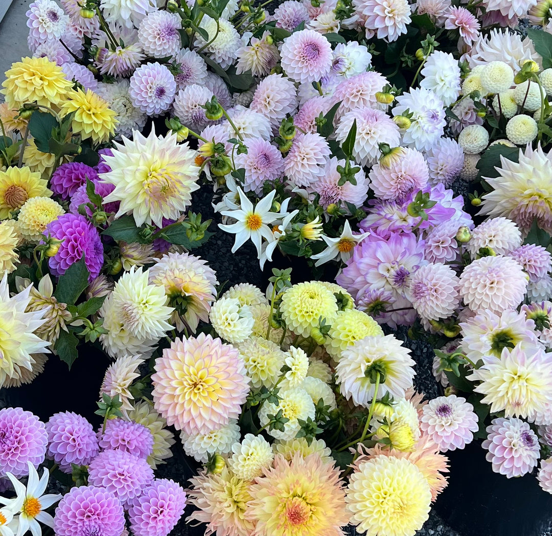 DIY Event Bloom Buckets- Deposit