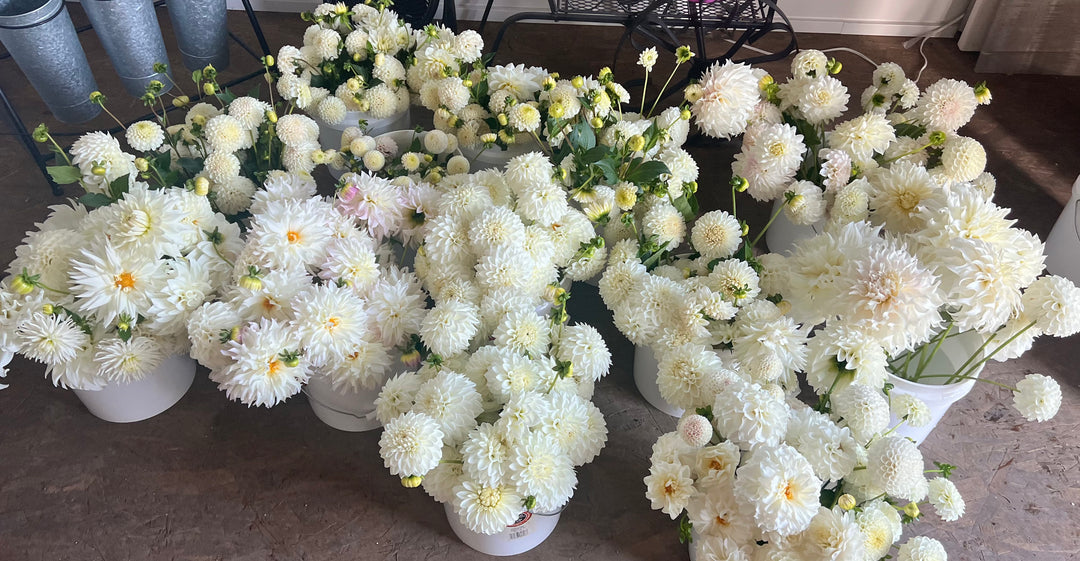 DIY Event Bloom Buckets- Deposit