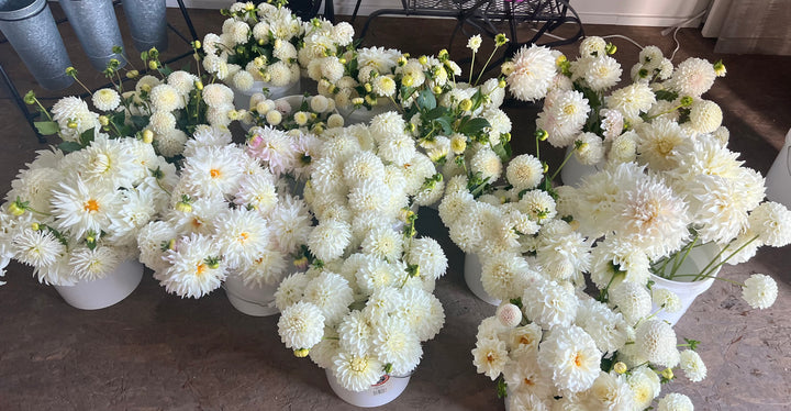 DIY Event Bloom Buckets- Deposit