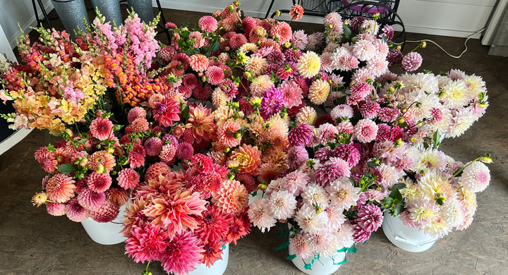 DIY Event Bloom Buckets- Deposit