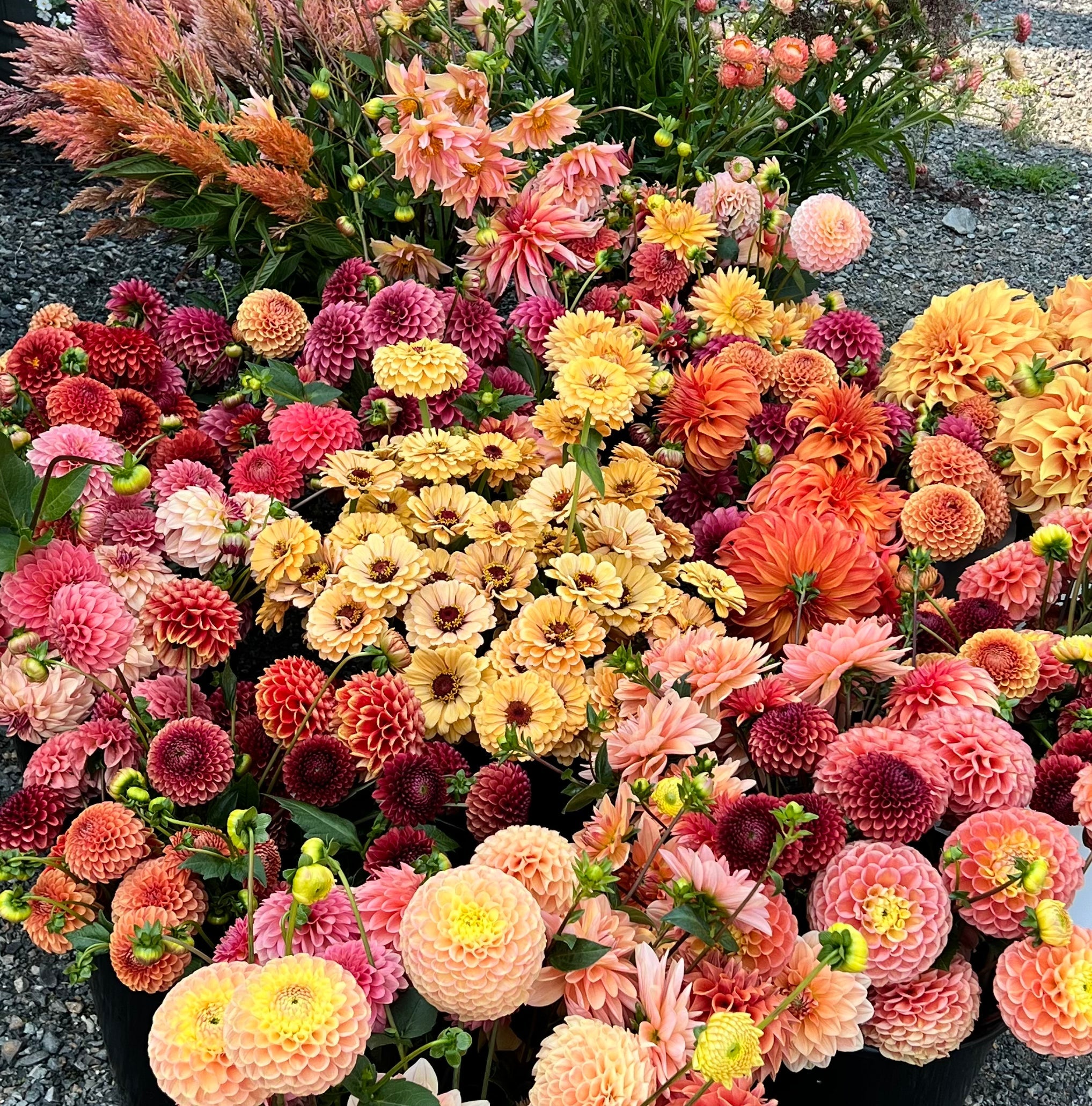 DIY Bloom Buckets- Deposit
