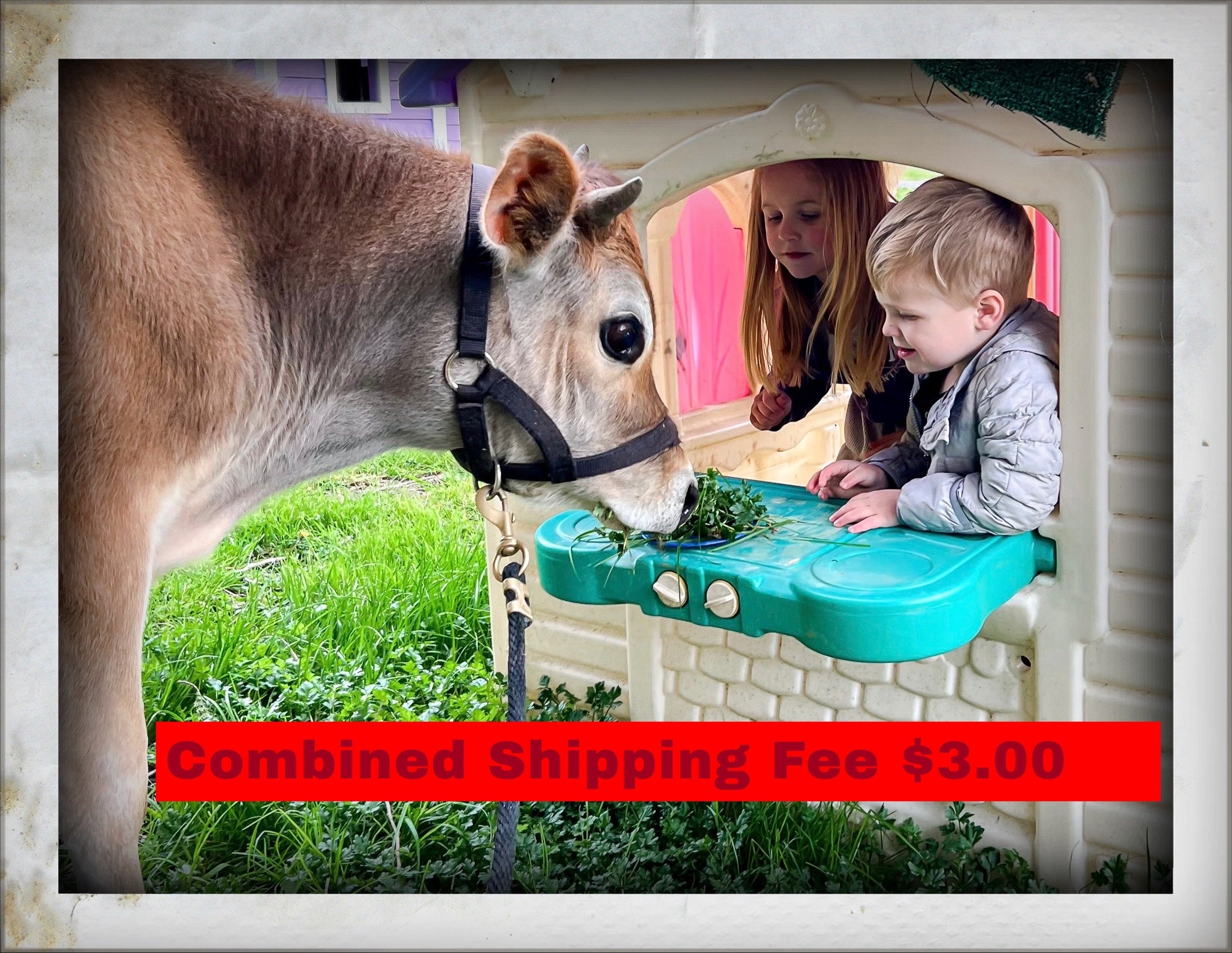 Combined Shipping $3.00