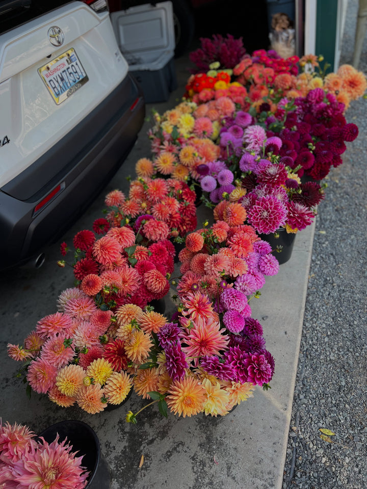 DIY Event Bloom Buckets- Deposit
