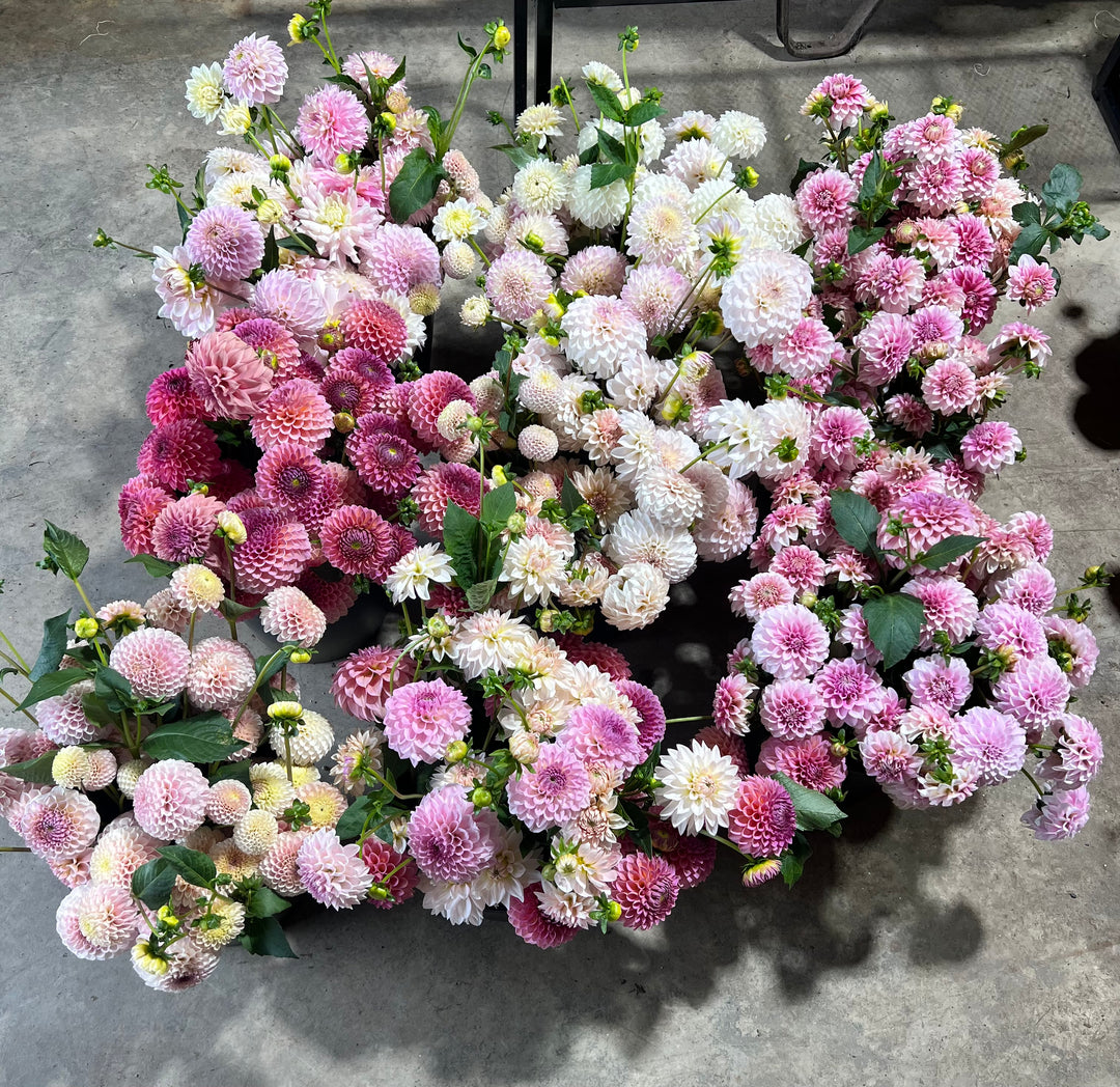 DIY Event Bloom Buckets- Deposit