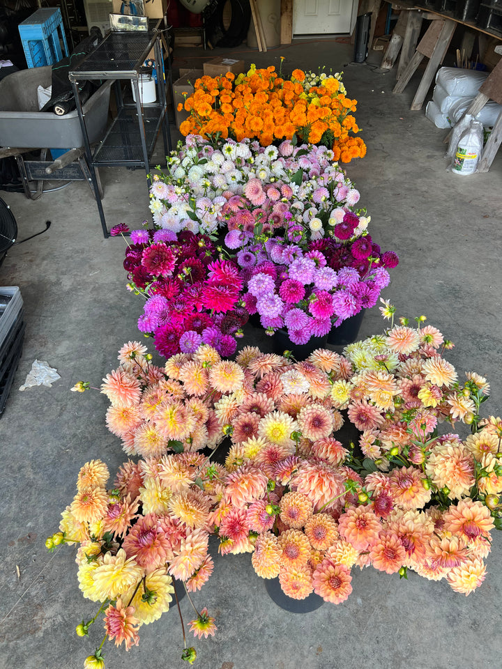 DIY Event Bloom Buckets- Deposit