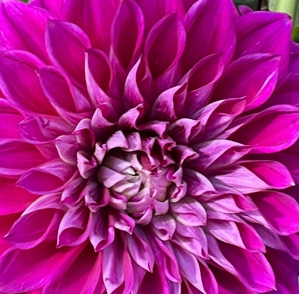 Bloomquist Port